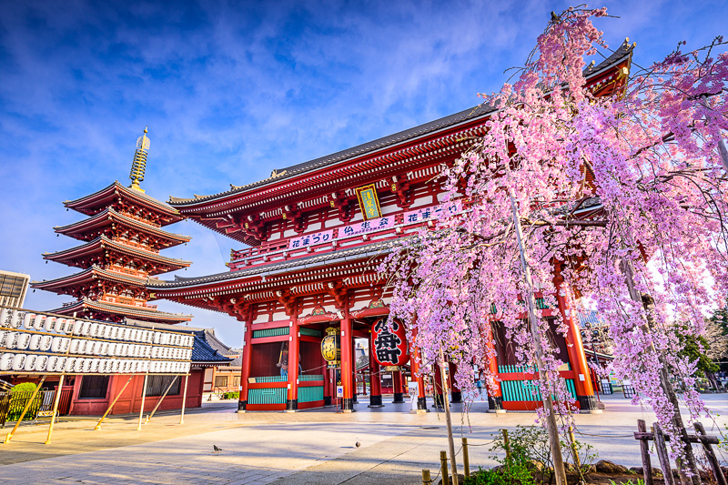 Senso Ji Temple tokyo
