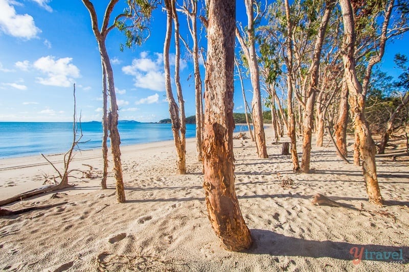 Great Keppel Island Queensland 152