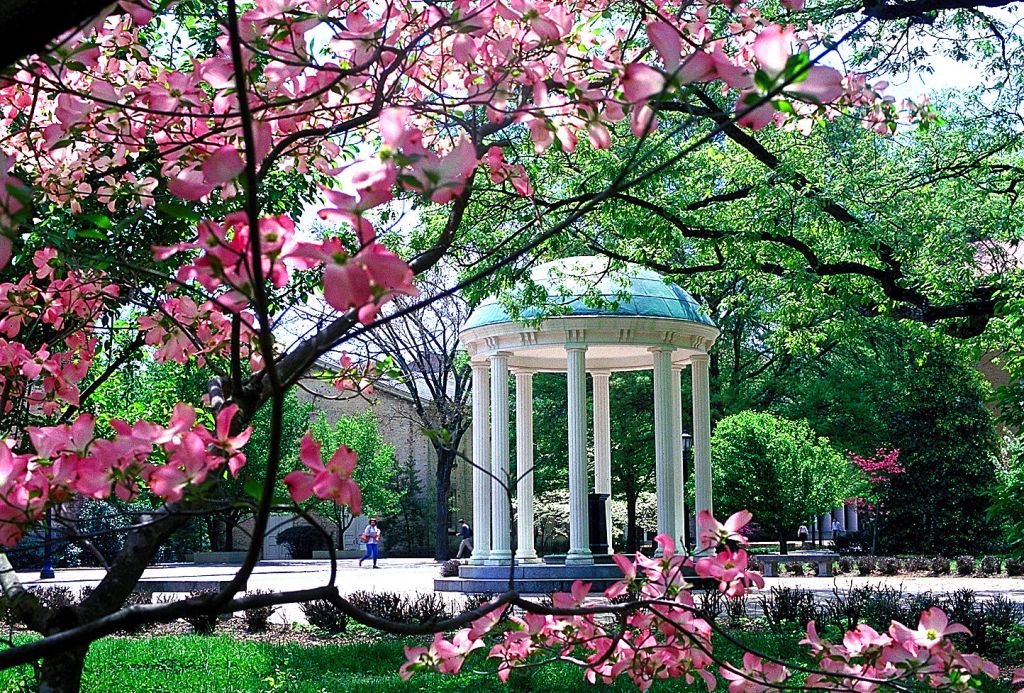 UNC Chapel Hill Old Well with Dogwood Blossoms