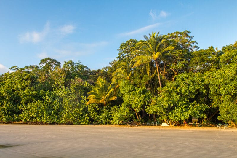 cape tribulation beach daintree rainforest 3
